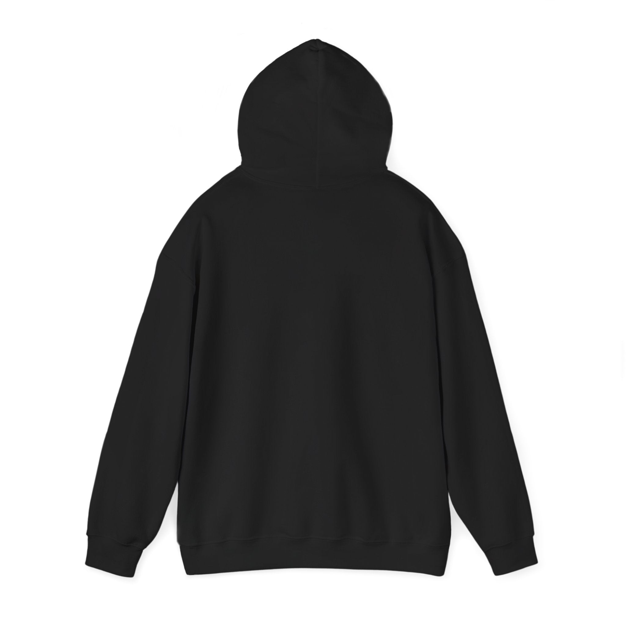 Vintage Monochrome Owl Illustration Hoodie | Birdwatching, Naturalist Style